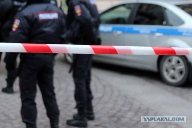 В Хабаровске пенсионерка готовила теракт
