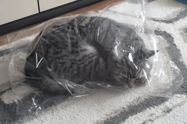 Котское.