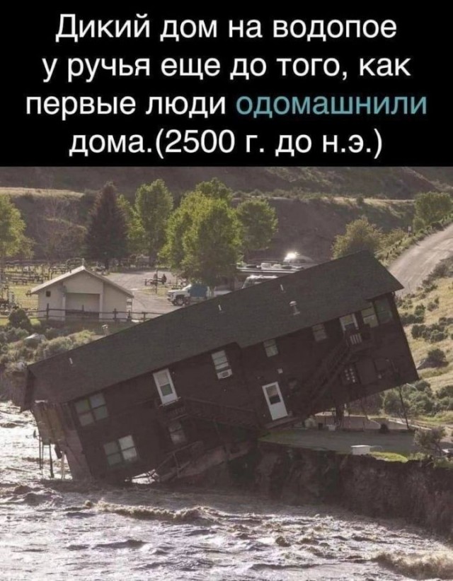 Картинки для деградации 243 (разной степени свежести)