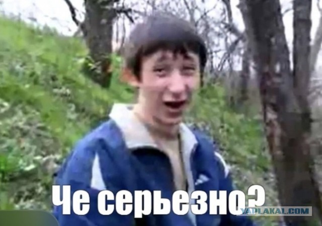 Цветочный магазин из Бобруйска залетел в рилсах с интересной механикой