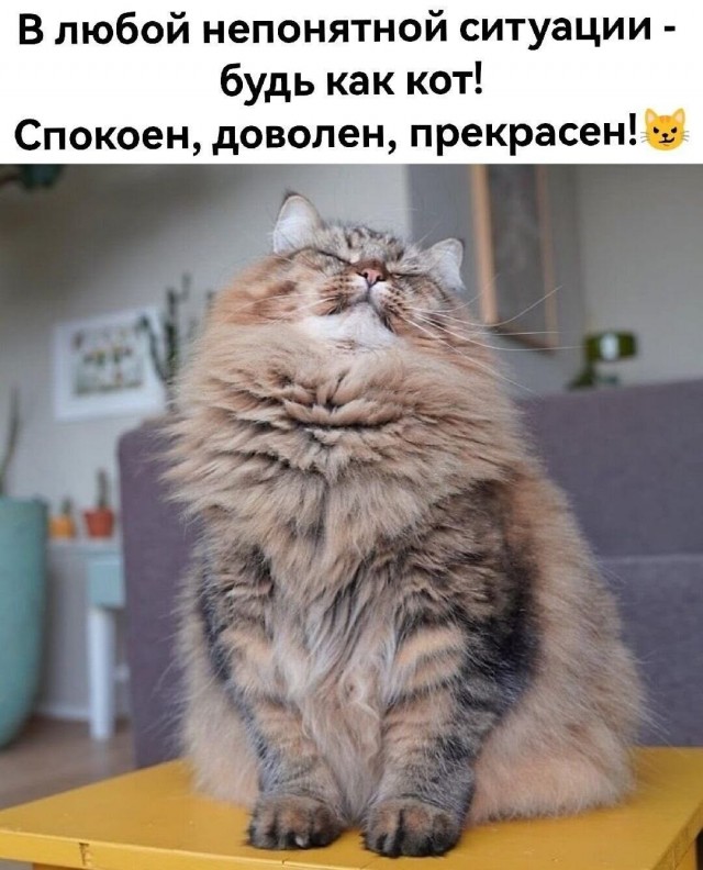 Прикольные и просто красивые картинки 04.09.2026