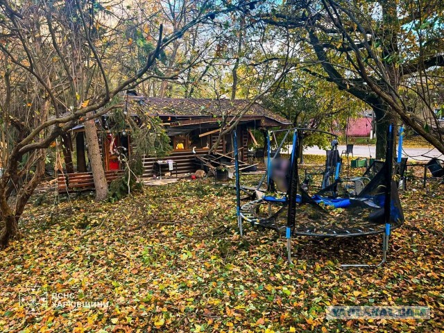 Три коровы на тракторе поехали новым маршрутом на фестиваль сыров