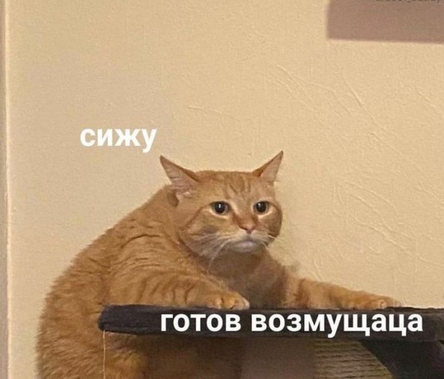 Ликбез по ПДД для дутой ТП с микрофончиком