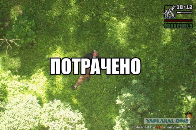 Симулятор коЗЫ
