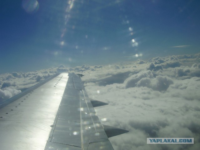 27 причин взять место у окна