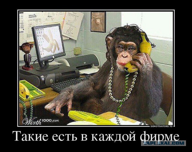 Демотиваторы.