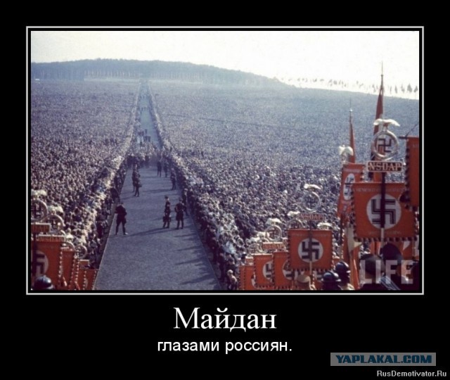 Яценюку - сорок