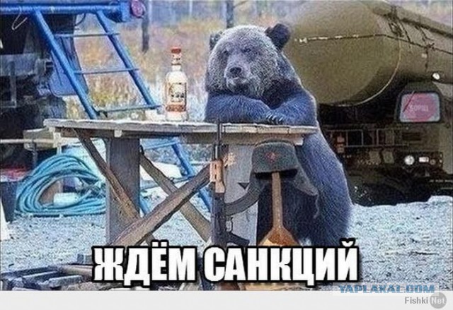 А как Вы воспитываете своего медведя?