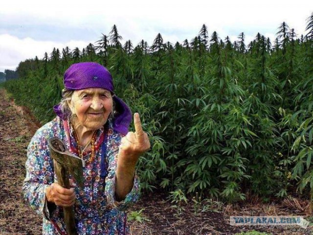 Плюсомет со шпалометом