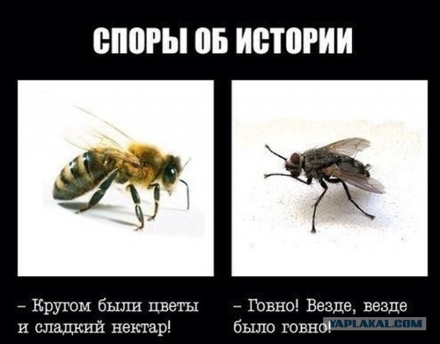 Для поднятия настроения