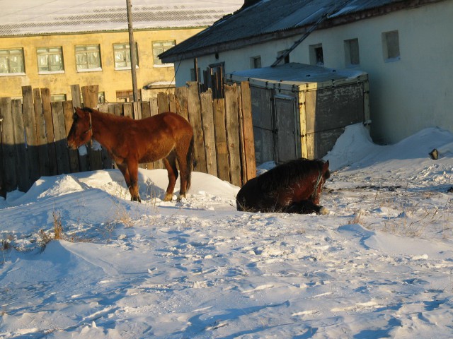 52 градуса ниже нуля