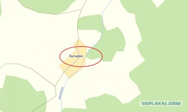 Веб-камеры на избирательных участках
