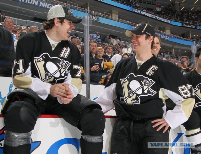 Как мы пингвина плавать учили