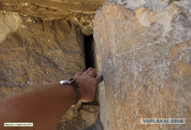 55 Интересных фактов.