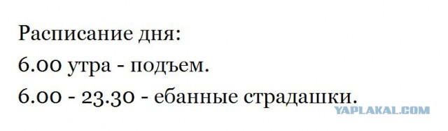 Картинки  разные