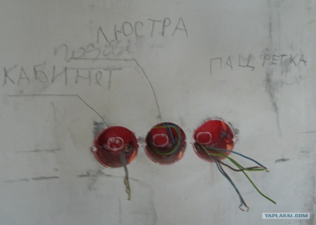 Равшан и Джимшуд форева!