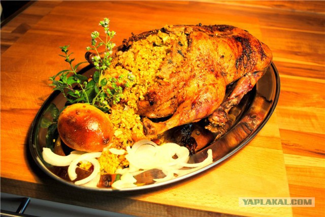 Коммунальные замУтки