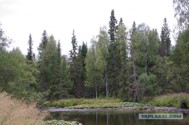 Прогулка.