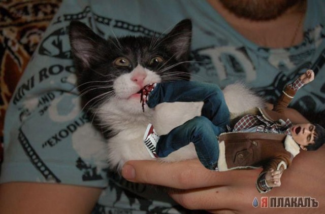 Фотожаба: Дима Билан