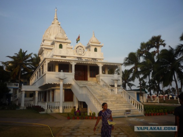 54 дня по Индии