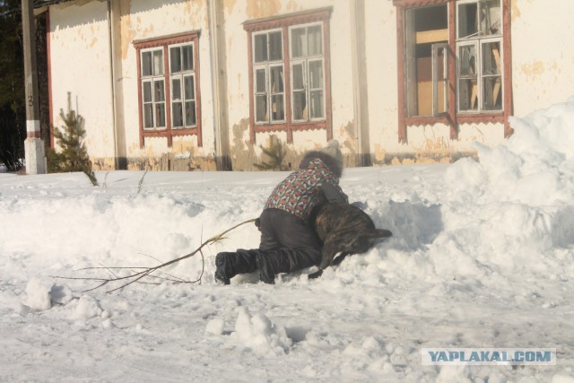 Купил дитю хомячка…