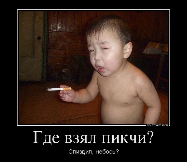 Прикольные картинки