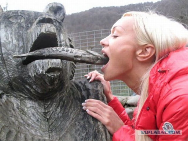 Фотки сделанные в нужный момент