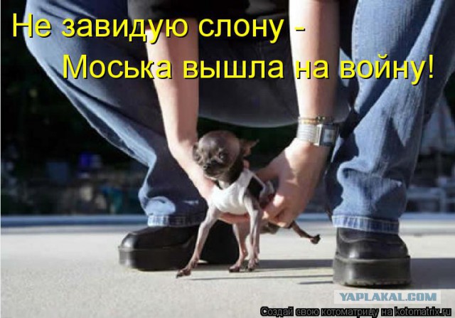 Как русская девушка поставила на место британских солдат в Эстонии
