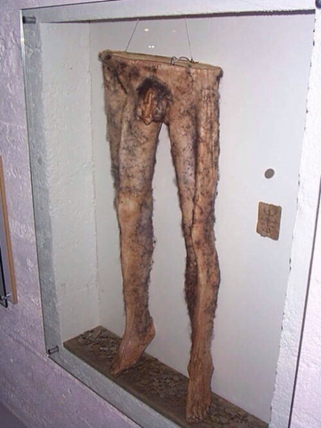 В одном из музеев хранятся штаны из... мертвеца.Удивляет для чего они были нужны!