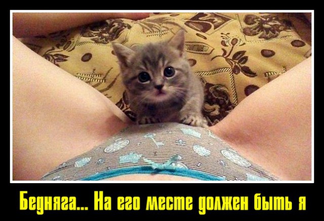 Саркастическая подборка