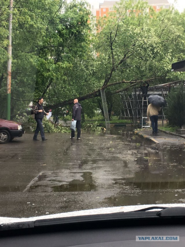 В Москве ураган!