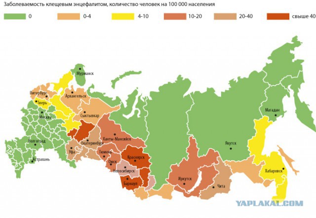 Как спастись от клещей? Предупрежден — значит вооружен