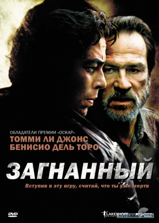 Опиши свою жизнь