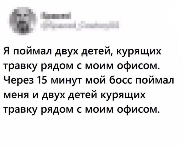 Подборка интересных и веселых картинок