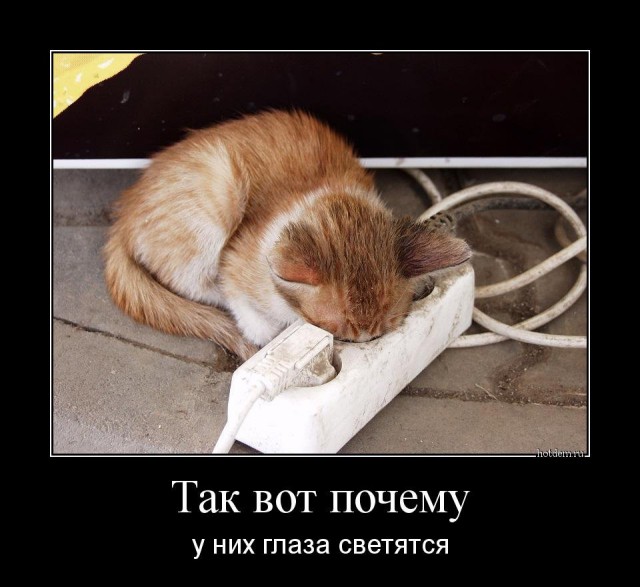 Подборка интересных и веселых картинок