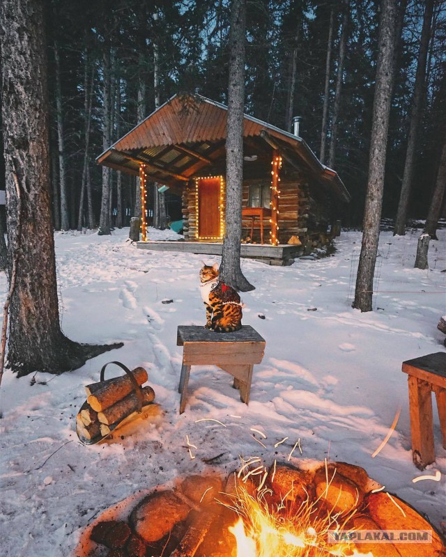 Картинки. Местами смешные.