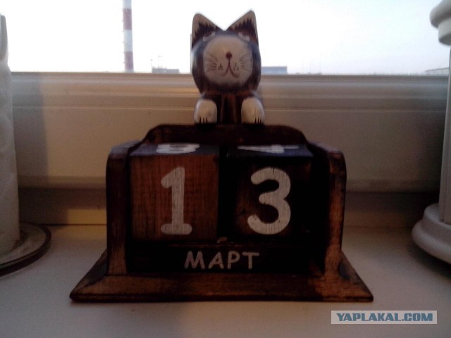 Котовторник 13.03.2018