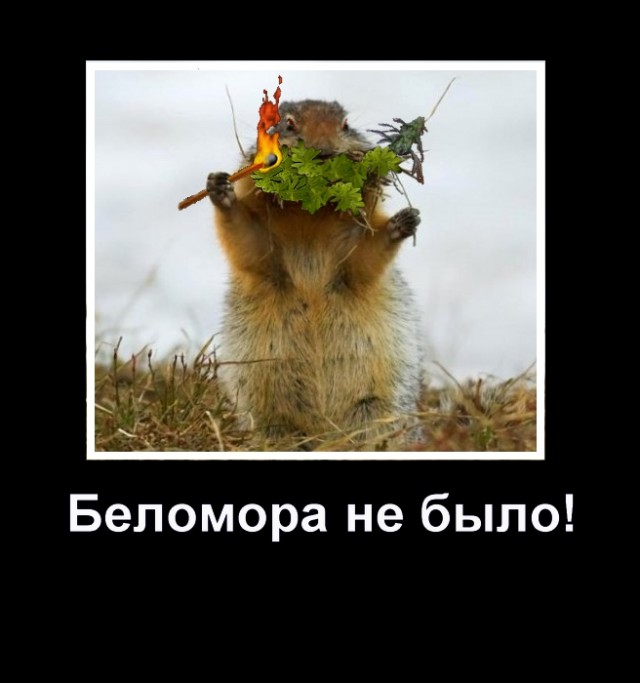 Спалили хомяка!