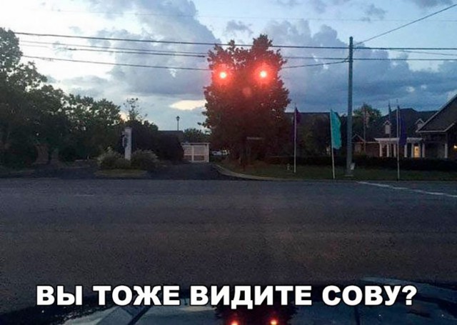 Нестандартный юмор