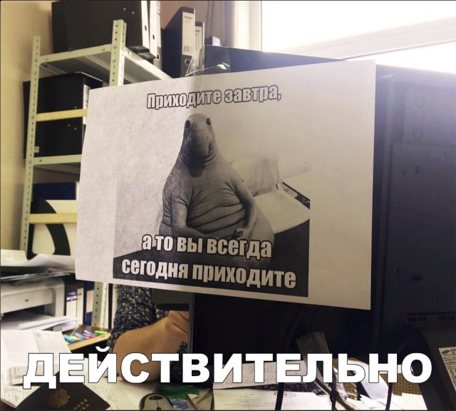 Нестандартный юмор