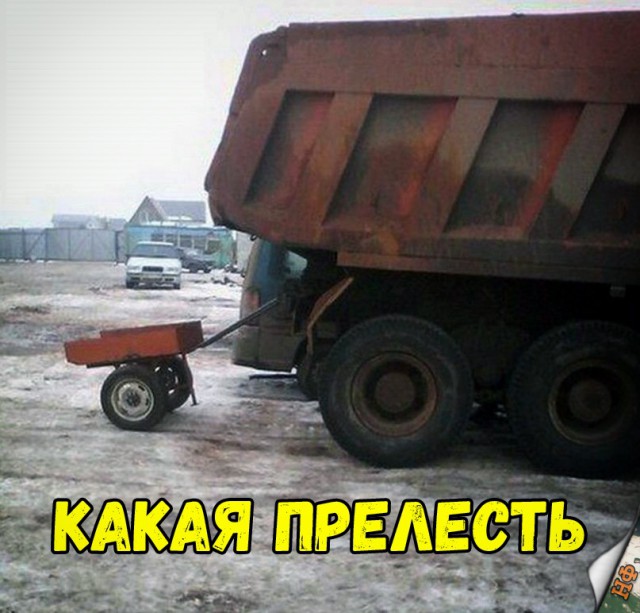 Прикольные картинки абавсём