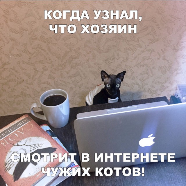Нестандартный юмор