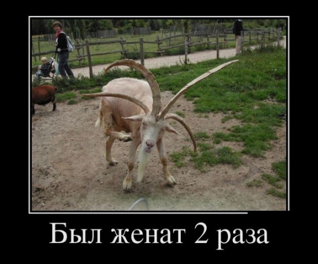 Бабы дуры. Примеры  из одного прошлого романа