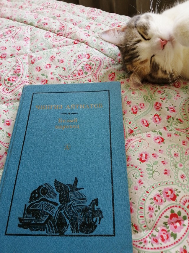 А кто какую книгу читает?