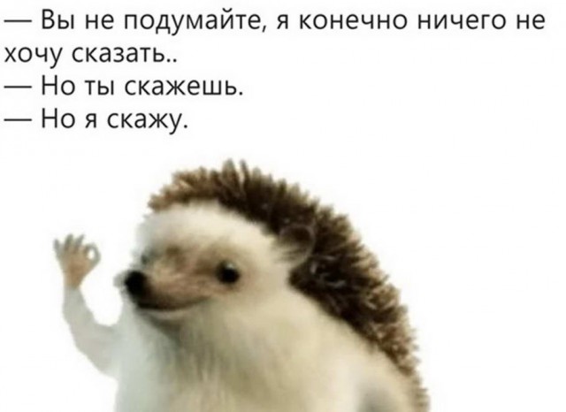 Юмор в картинках