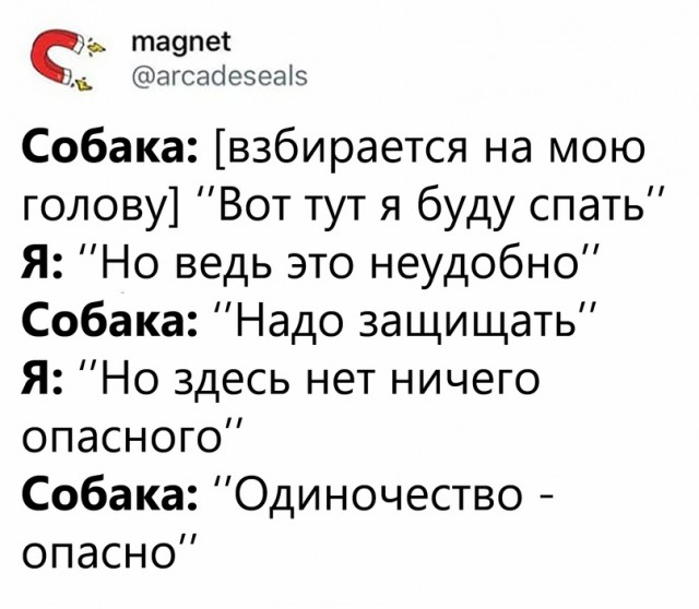 Весёлый полтишок 21.06.2021