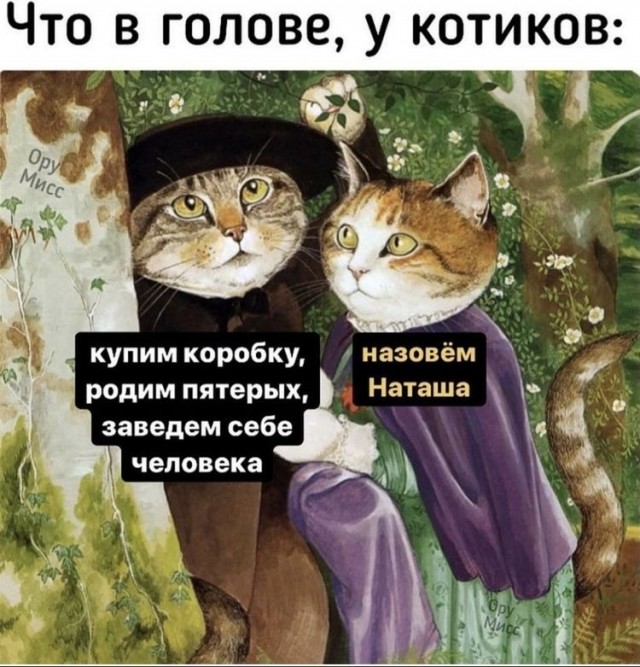 Так себе картинки 09.08.2021