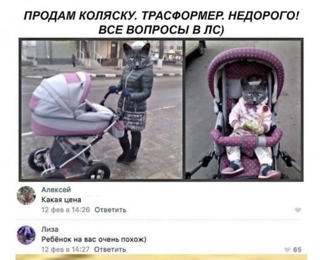 Картинки 12.09.21