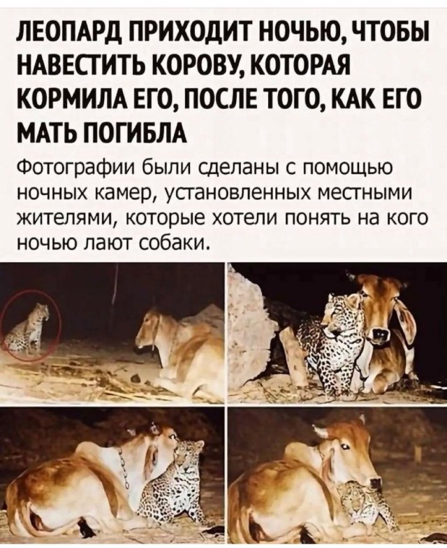Картинки и мемы для настроения 14.08.2021