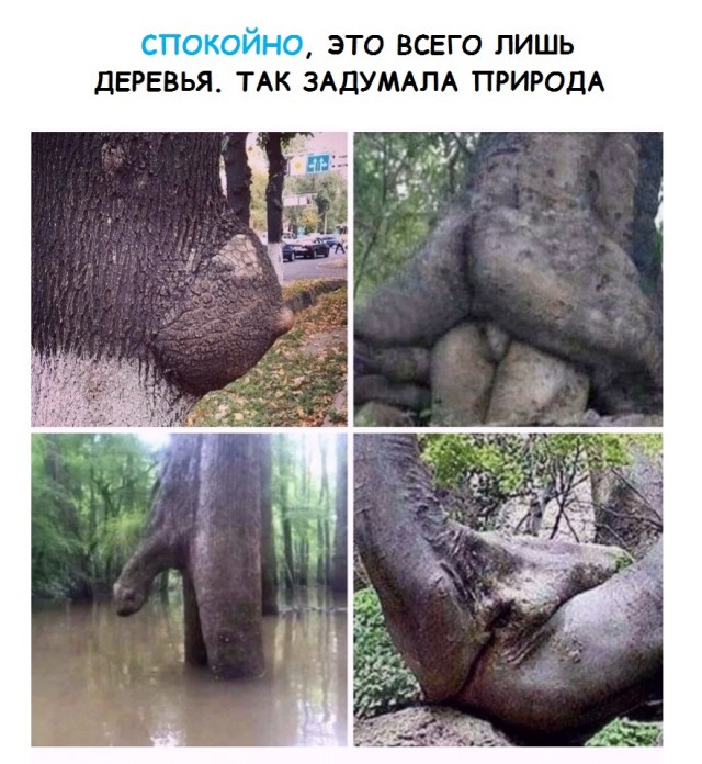 Здесь будет Петербург